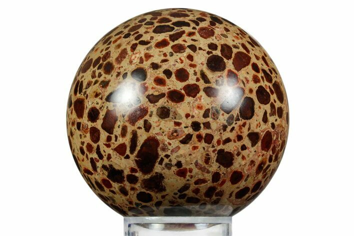 Polished Bauxite (Aluminum Ore) Sphere - Russia #354239